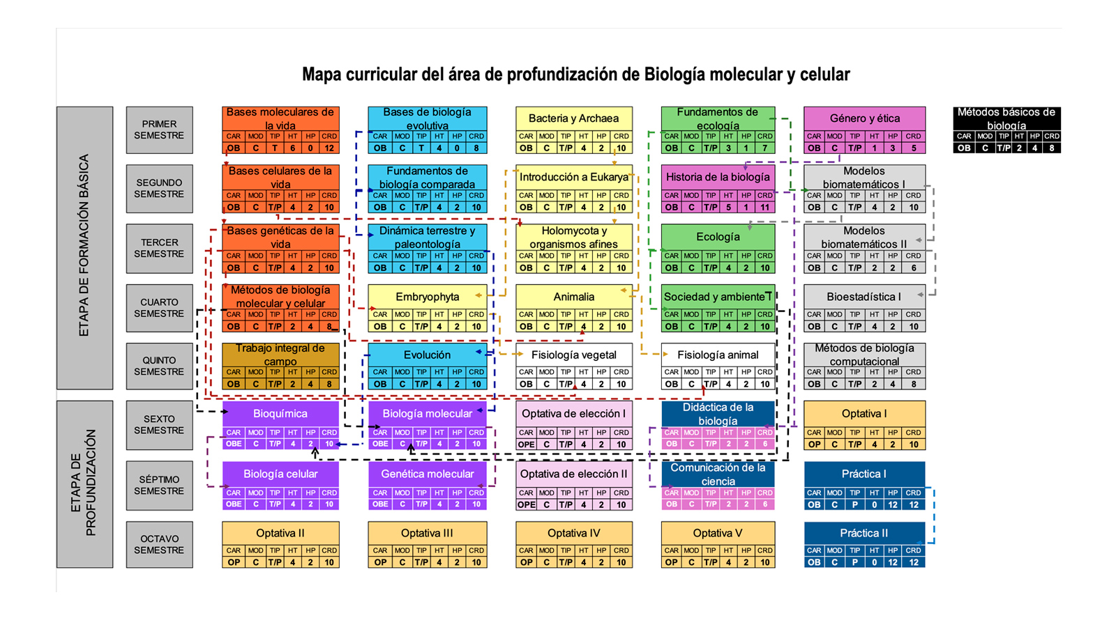 Mapa biologia molecular y celular