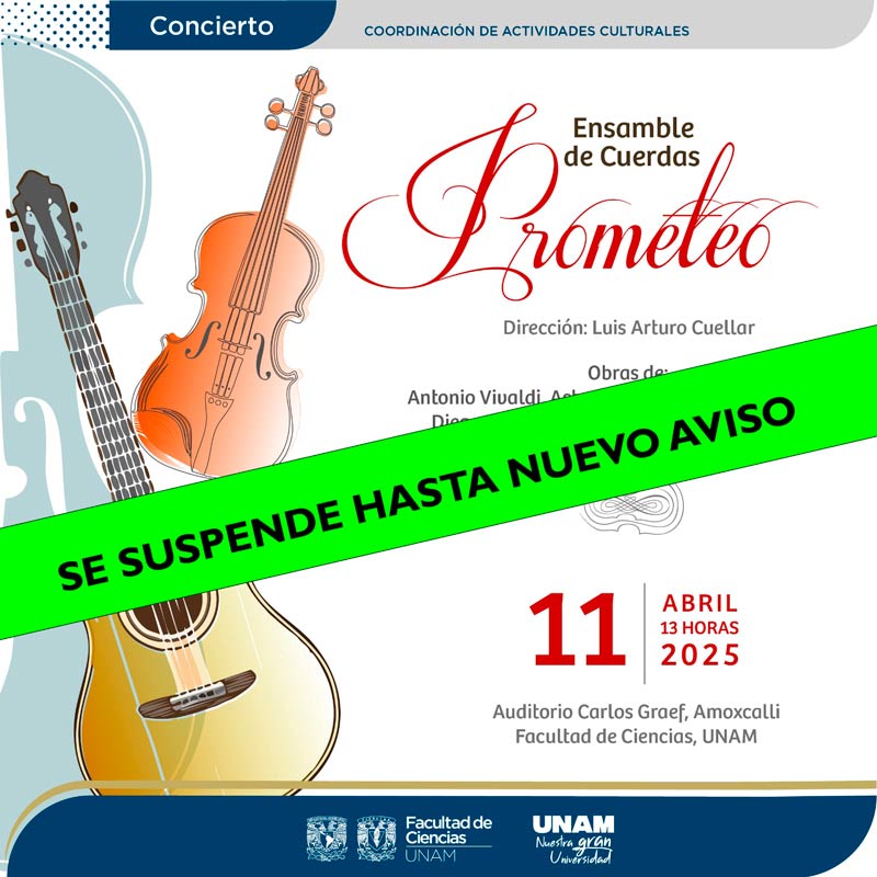 concierto110425-x