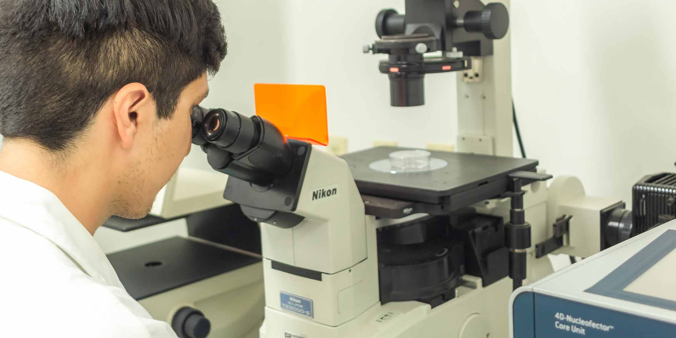 Antropología Molecular