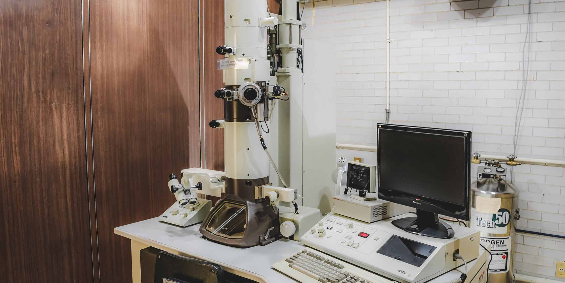 Antropología Molecular