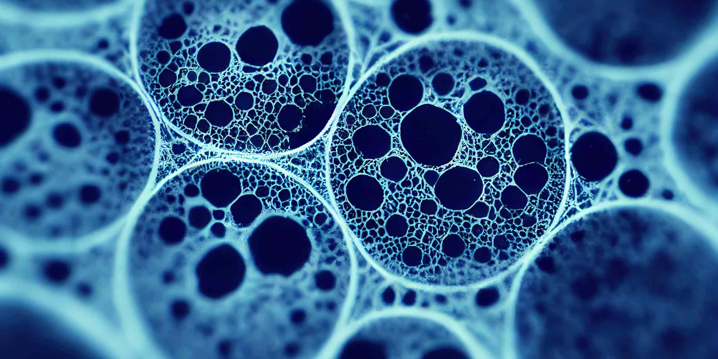 Nanobiología