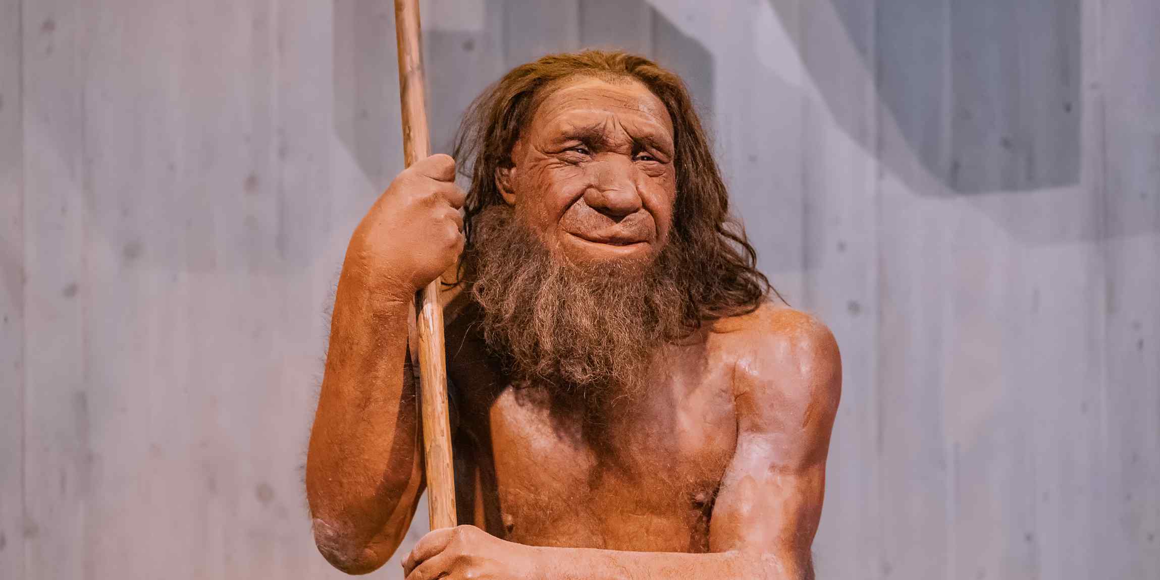 Neandertal Museo Düsseldorf