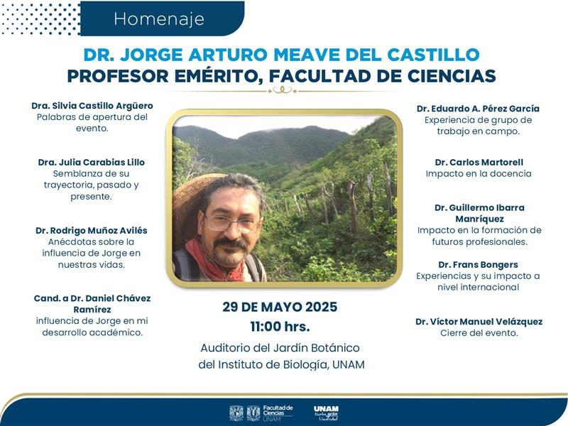 meave290525