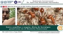  juriquilla040625